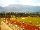 Panoramica campo di Atletica