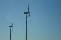 dsc00771_small.jpg