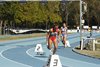 DPP_008398