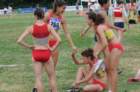 dsc_4200_small.jpg
