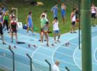 imga0804_small.jpg