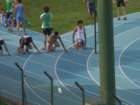 imga0806_small.jpg