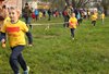 IMG_1382
