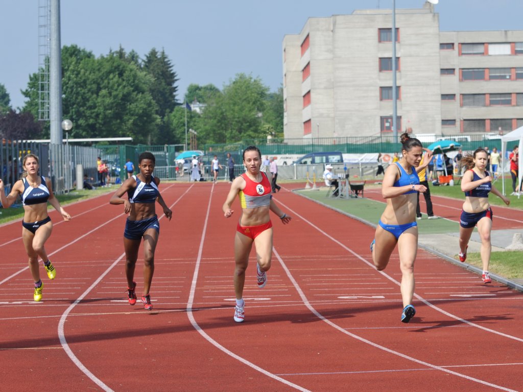 dsc_3399a.jpg