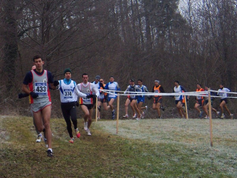 immagine12.jpg