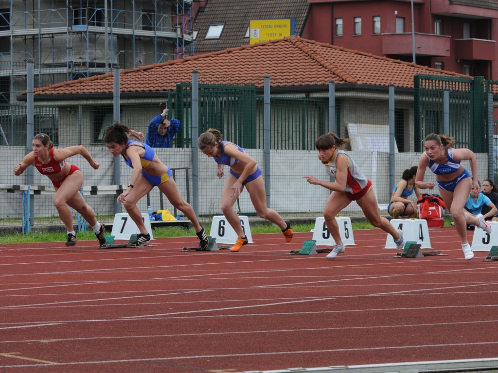 dsc_2864a.jpg