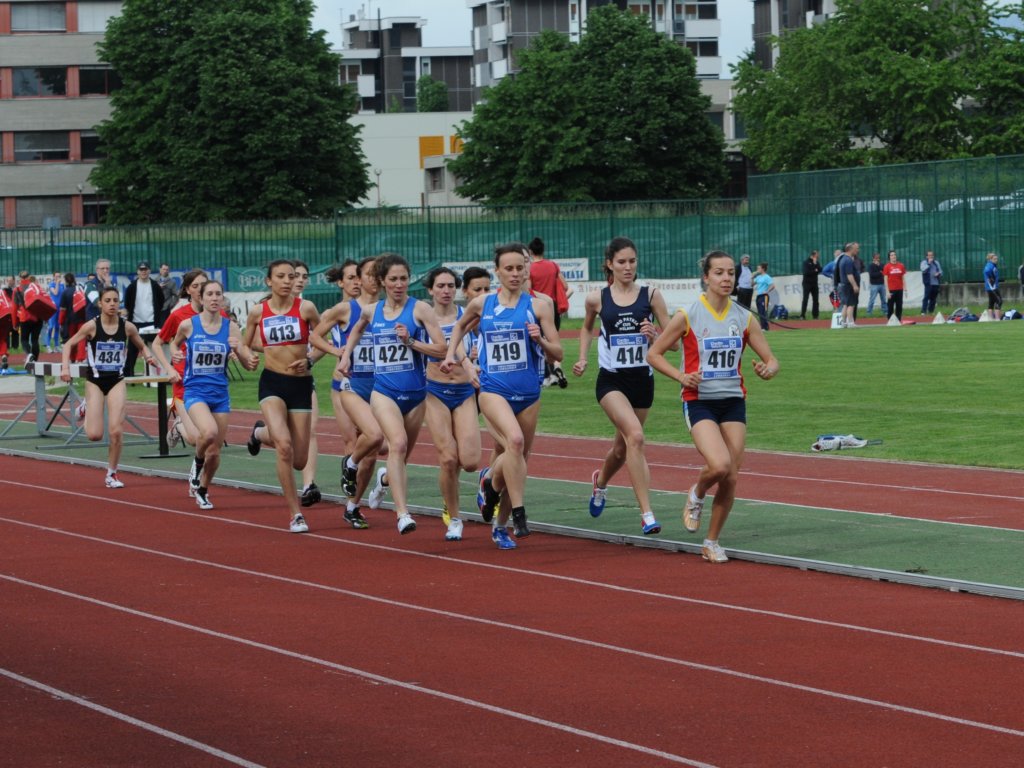 dsc_2992a.jpg