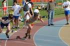 dsc_2348_small.jpg