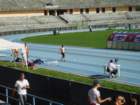 pa120695_small.jpg