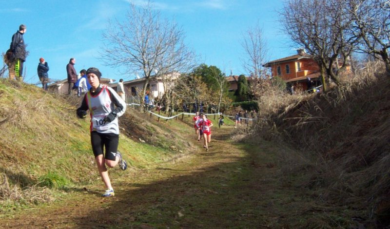 immagine31.jpg