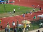 dsc02714_small.jpg