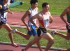 imga0041_small.jpg
