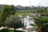 picture033_small.jpg