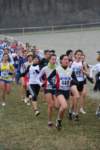 img_1488_small.jpg