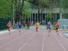 dsc_2483_small.jpg