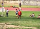 imga0892_small.jpg