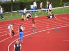 imga0429_small.jpg