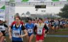 img_5704_small.jpg