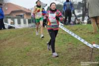 dsc_3226_small.jpg