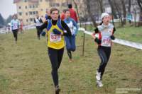 dsc_3343_small.jpg