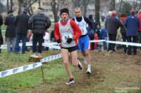 dsc_4172_small.jpg