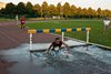Lodi_Vanwelde_Romain-296