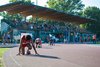 Lodi_Vanwelde_Romain-201