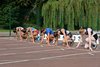 DSC_8569a