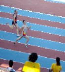 Nicola Quinteri