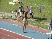 Viola Brontesi