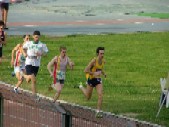 Davide Lupo Stanghellini 