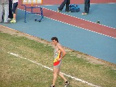 Nicola Quinteri